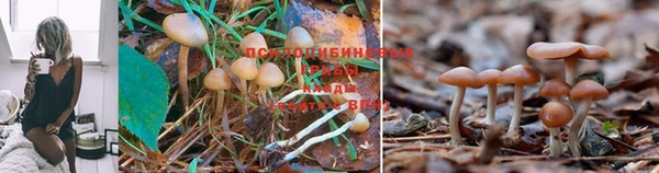 мет Горнозаводск