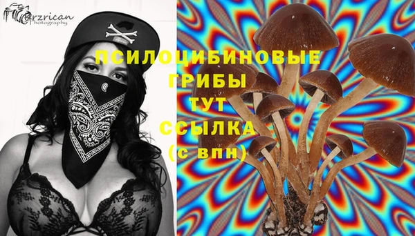 мет Горнозаводск
