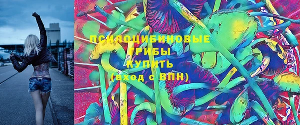 мяу мяу мука Горняк