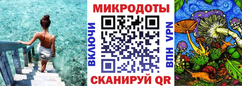 Псилоцибиновые грибы Psilocybe  Купить где  Петровск-Забайкальский 